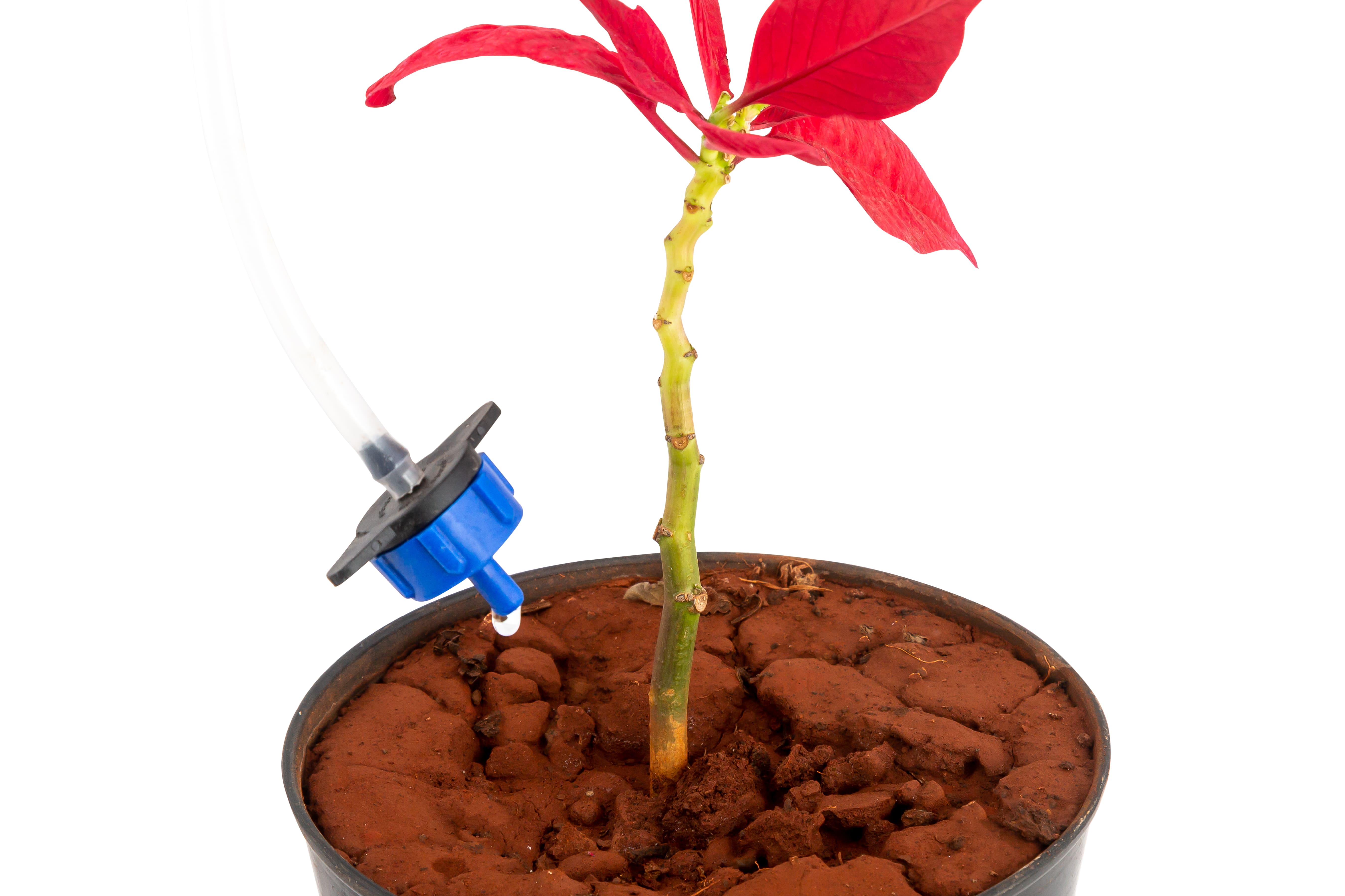 Drip Irrigation